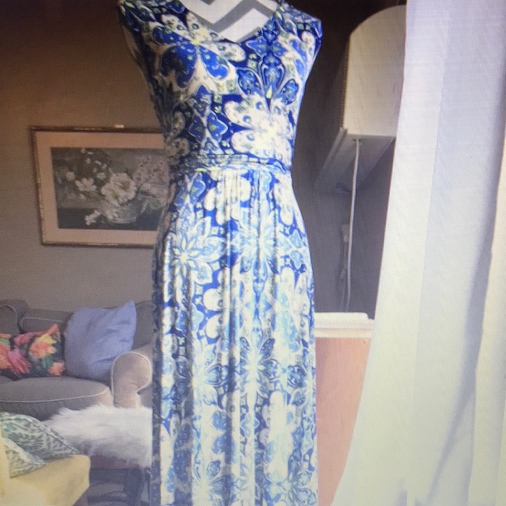 ANTHROPOLOGIE Vanessa Virginia Capuchina dress